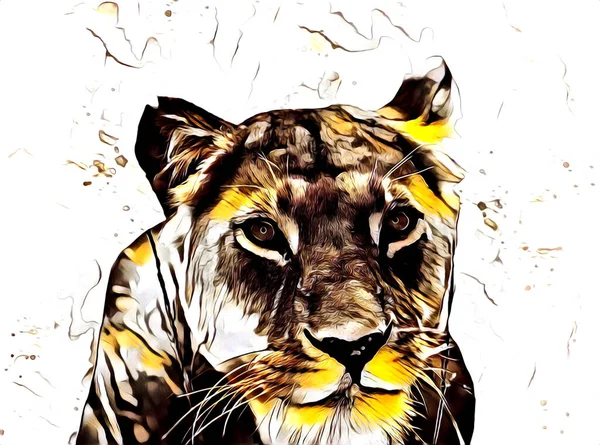 ライオンアートイラスト絵画レトロヴィンテージ動物 — ストック写真