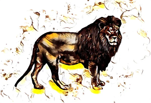 Lion Art Illustration Drawing Painting Retro Vintage Animal — Foto de Stock