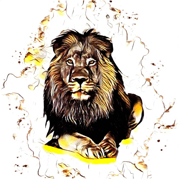 Lion Art Illustration Drawing Painting Retro Vintage Animal — Stock Fotó