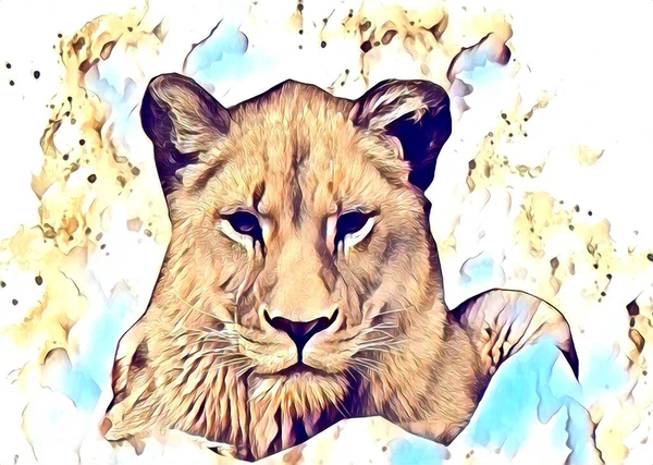 Lion Art Illustration Drawing Painting Retro Vintage Animal — Foto de Stock