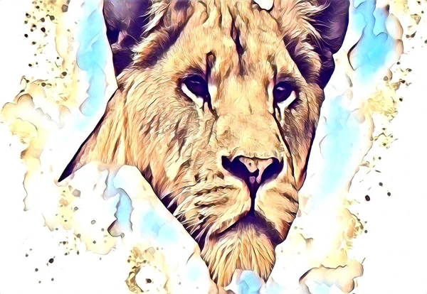 Lion Art Illustration Drawing Painting Retro Vintage Animal — ストック写真