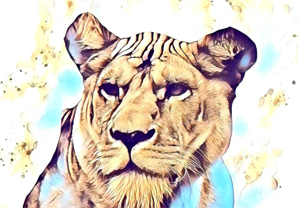 Lion Art Illustration Drawing Painting Retro Vintage Animal — Fotografia de Stock