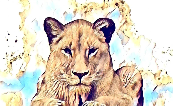 Lion Art Illustration Dessin Peinture Rétro Vintage Animal — Photo