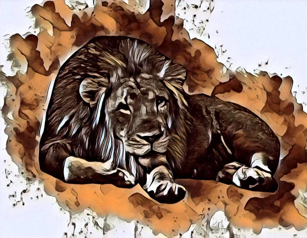 León Arte Ilustración Dibujo Pintura Retro Vintage Animal — Foto de Stock