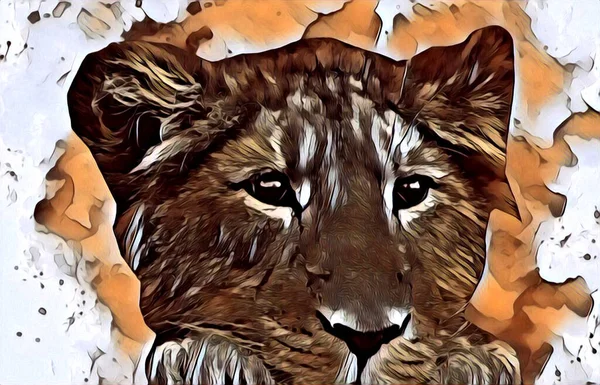 Lion Art Illustration Dessin Peinture Rétro Vintage Animal — Photo