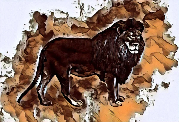 Lion Art Illustration Drawing Painting Retro Vintage Animal — Foto Stock