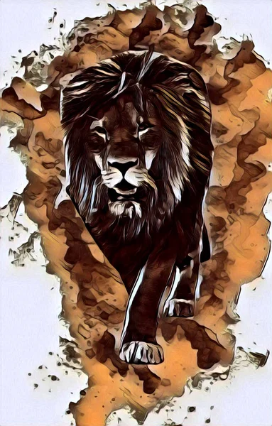 Lion Art Illustration Drawing Painting Retro Vintage Animal — Photo