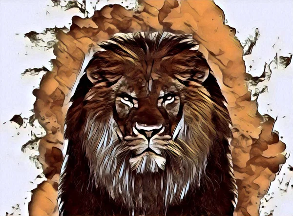 Lion Art Illustration Dessin Peinture Rétro Vintage Animal — Photo