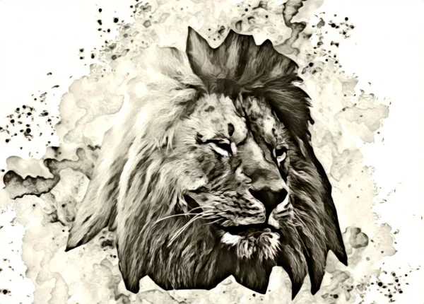 Lion Art Illustration Drawing Painting Retro Vintage Animal — ストック写真