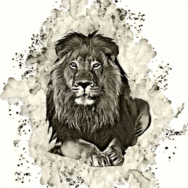 Lion Art Illustration Drawing Painting Retro Vintage Animal — Foto de Stock