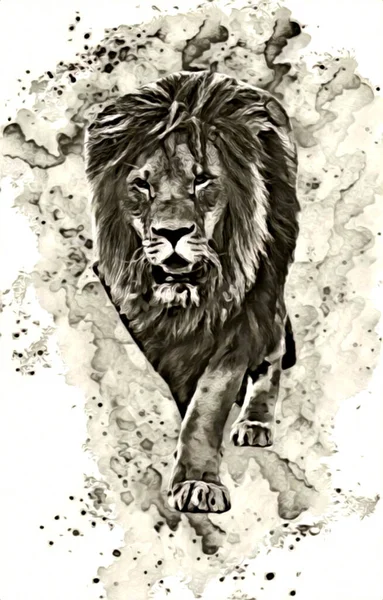 Lion Art Illustration Drawing Painting Retro Vintage Animal — 스톡 사진