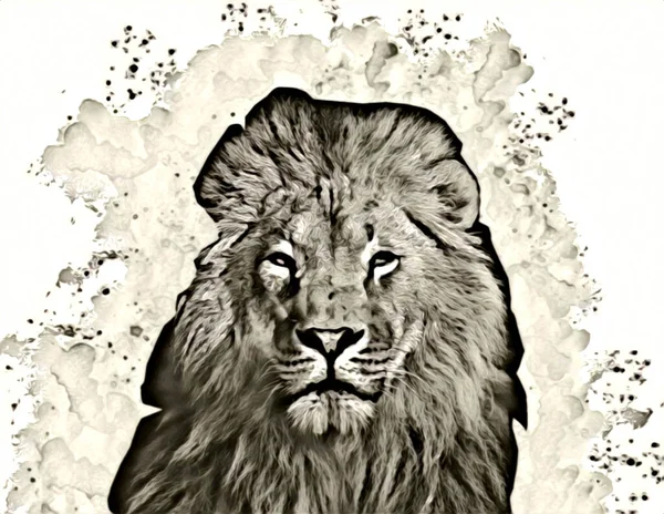 Lion Art Illustration Drawing Painting Retro Vintage Animal — Foto de Stock