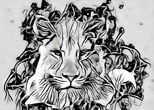 Lion Art Illustration Dessin Peinture Rétro Vintage Animal — Photo