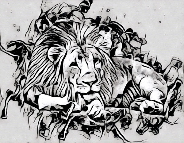 Lion Art Illustration Drawing Painting Retro Vintage Animal — Stock Photo, Image