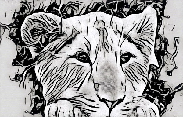 Lion Art Illustration Dessin Peinture Rétro Vintage Animal — Photo