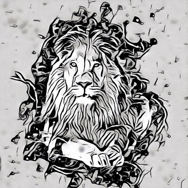 lion art illustration drawing painting retro vintage animal