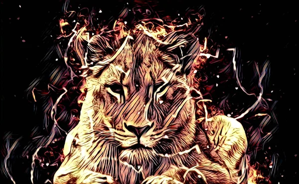 Lion Art Illustration Drawing Painting Retro Vintage Animal — Foto de Stock