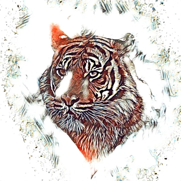 Tiger Art Illustration Drawing Painting Retro Vintage Animal — Stockfoto