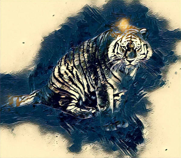 Tiger Art Illustration Drawing Painting Retro Vintage Animal — Foto Stock