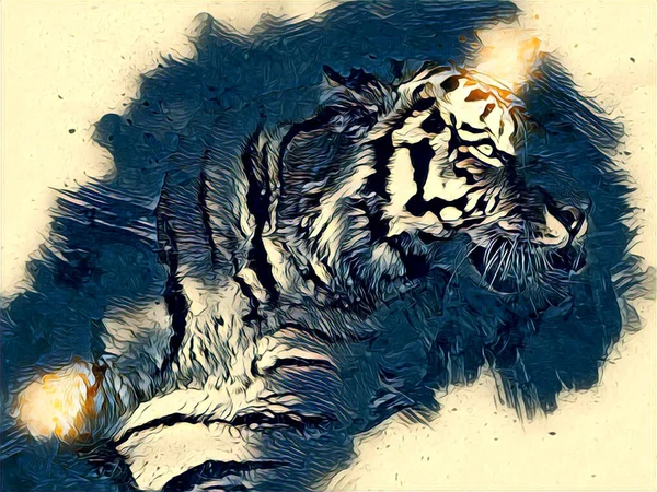 Tigre Art Illustration Dessin Peinture Rétro Vintage Animal — Photo