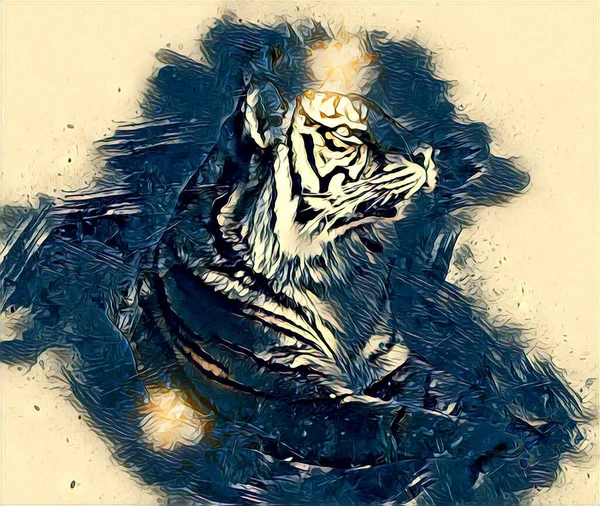 Tiger Art Illustration Drawing Painting Retro Vintage Animal — Photo