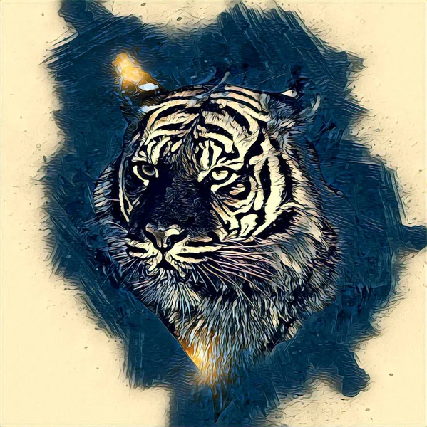 Tiger Arte Ilustración Dibujo Pintura Retro Vintage Animal — Foto de Stock