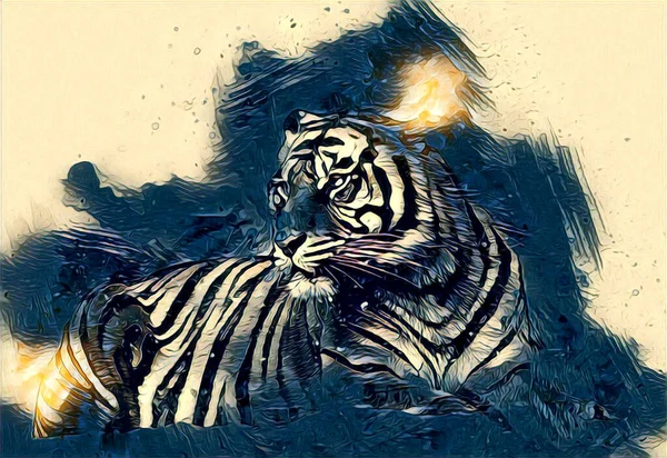 Tigre Art Illustration Dessin Peinture Rétro Vintage Animal — Photo