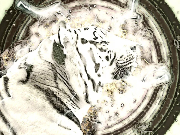 Kaplan Sanatı Çizimi Antika Hayvanları Resmediyor — Stok fotoğraf