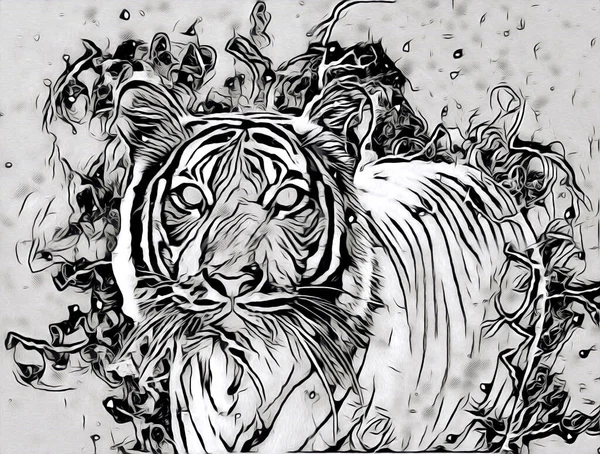 Tiger Art Illustration Drawing Painting Retro Vintage Animal — Photo