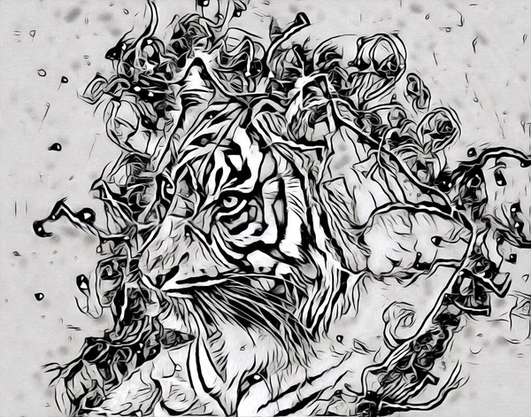Тигрове Мистецтво Ілюстрація Малюнок Живопис Ретро Вінтажних Тварин — стокове фото