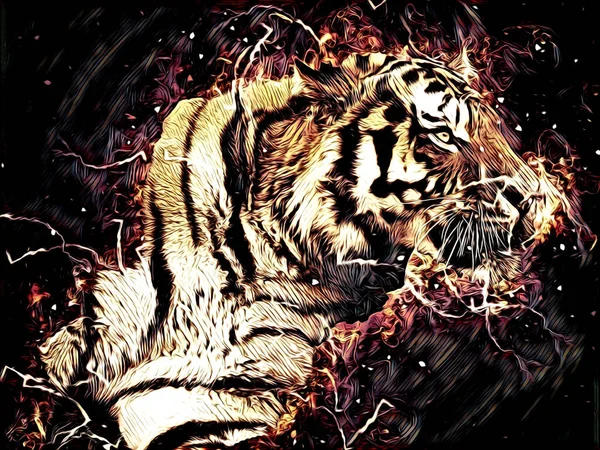 Tiger Art Illustration Drawing Painting Retro Vintage Animal — 스톡 사진