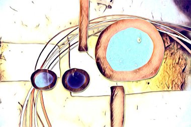 soyut renk tasarımı sanat illüstrasyonu