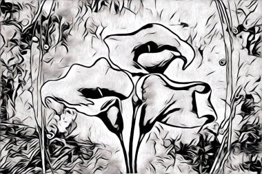 Resim resimli klasik arkaplan