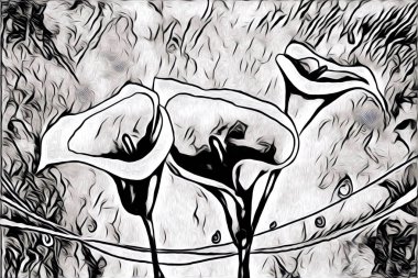 Resim resimli klasik arkaplan