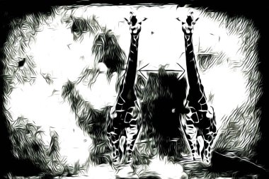 duvar tasarımı fikri dijital resim.