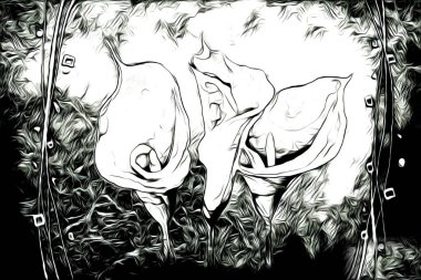 Resim resimli klasik arkaplan