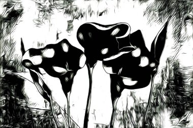 Resim resimli klasik arkaplan