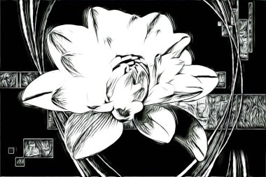 Resim resimli klasik arkaplan