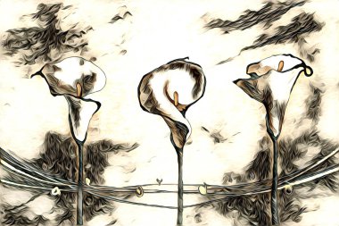 Resim resimli klasik arkaplan