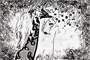 duvar tasarımı fikri dijital resim.