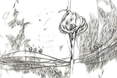 Resim resimli klasik arkaplan