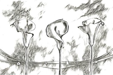 Resim resimli klasik arkaplan