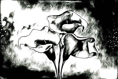 Resim resimli klasik arkaplan