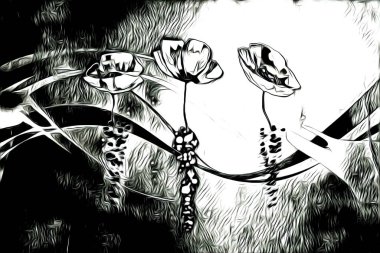 Resim resimli klasik arkaplan