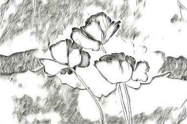 Resim resimli klasik arkaplan