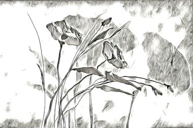 Resim resimli klasik arkaplan