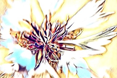 Resim resimli klasik arkaplan