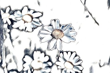 Resim resimli klasik arkaplan