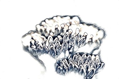 Resim resimli klasik arkaplan