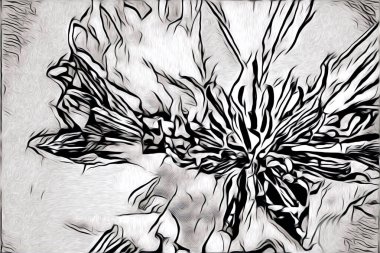 Resim resimli klasik arkaplan